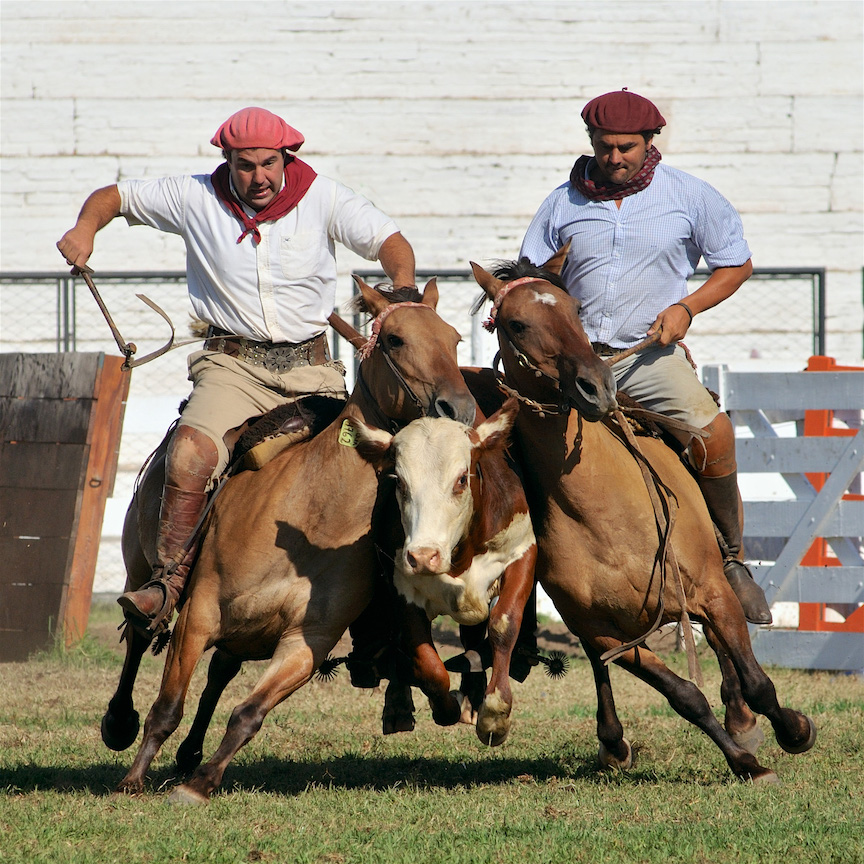 SHDScfxGauchos---Version-2