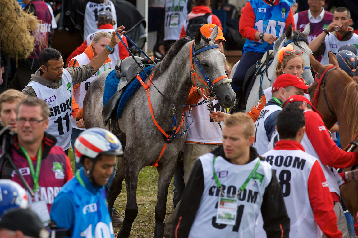 WEG_D4X1037